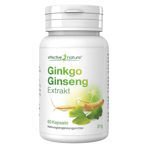 Ginkgo Ginseng Extrakt